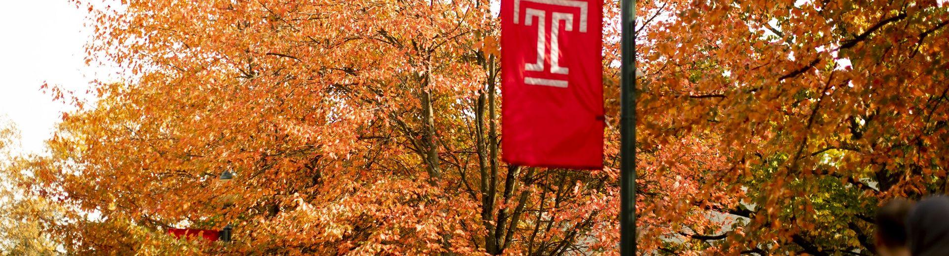 学生们走在庙里的T旗下，树上挂着五颜六色的秋叶